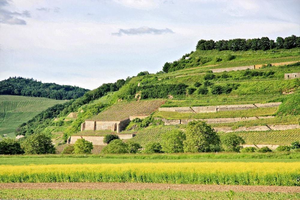 Hotel Winzerstube Ihringen Eksteriør bilde